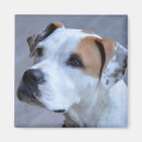 Recherche de photo faite sur command magnets Moderne