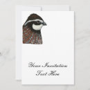 Recherche de perdrix invitations Oiseau