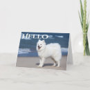 Recherche de chiot blanc vœux cartes Chien