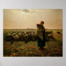 Recherche de bergère posters Animal