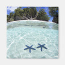 Recherche de pittoresque magnets Mer