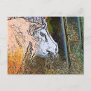 Recherche de brebis cartes postales Animal de ferme
