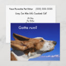 Recherche de hache cartes postales Basset hound