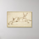 Recherche de lievre toiles Sauvage