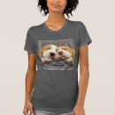 Recherche de chiot de beagle photographie Animaux domestiques