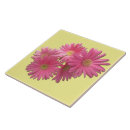 Recherche de gerber rose maison deco Marguerites