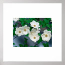 Recherche de fleurs de chien posters Décoration