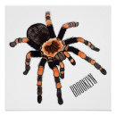 Recherche de tarantula posters Insecte