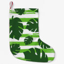 Recherche de plantes chaussette de noël Botanique