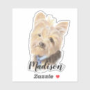 Recherche de cassis autocollants Casier