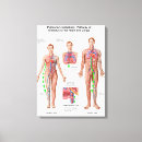 Recherche de appareil respiratoire posters Cage thoracique