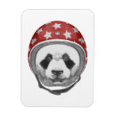 Recherche de casque magnets Mignon