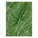 Recherche de feuilles verts posters Verdure
