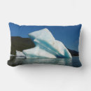 Recherche de iceberg coussins Paysage