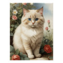 Recherche de birmanie posters Chat birman