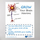 Recherche de neurones posters Cerveau