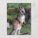 Recherche de kangourou joey cartes postales Australie