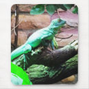 Recherche de lézards tapis souris Toute personne