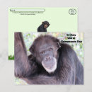 Recherche de chimpanzee cartes postales Chimpanzé