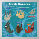 Recherche de sloth posters Faune