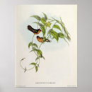 Recherche de john gould posters Collection