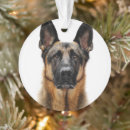 Recherche de chiot berger allemand ornements Animal