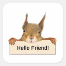 Recherche de squirrel autocollants Boisé