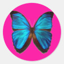 Recherche de morphos autocollants Insecte