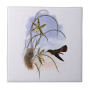 Recherche de oiseaux vintages carreaux Floral