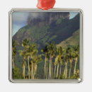 Recherche de bora bora ornements Île