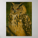 Recherche de eurasien posters Nature