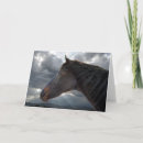 Recherche de cheval animaux articles Cowboy
