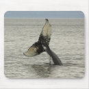 Recherche de intérieur tapis souris Alaska