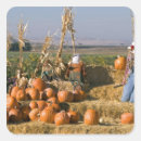 Recherche de foin autocollants Bale de foin