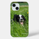 Recherche de colley iphone coques Dog