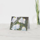Recherche de la fleur blanche remercient Pour elle