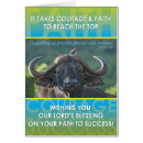 Recherche de buffle africain cartes postales Sauvage