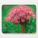 Recherche de gallos tapis souris Gros plan