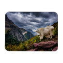 Recherche de une montagne magnets Gamme de montagne