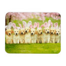 Recherche de pâques mignonne magnets Drôle