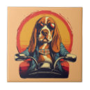 Recherche de basset hound carreaux Mignon