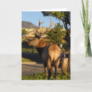 Recherche de élan vœux cartes Taureau