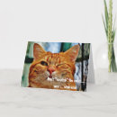 Recherche de canapé vœux cartes Chat