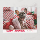 Recherche de chiot noël cartes postales Frenchie
