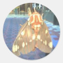 Recherche de moth autocollants Nature