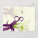 Recherche de lis blanc cartes postales Calla