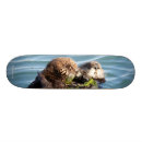 Recherche de mère skateboards Mignon