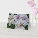 Recherche de fleurs artistiques vœux cartes Floral