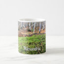 Recherche de moisissure tasses Automne