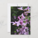 Recherche de delicate correspondances cartes Botanique